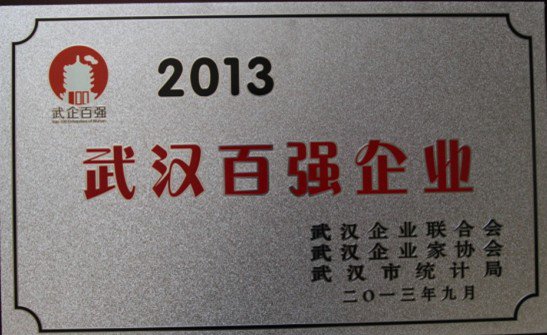 2013-武漢百強(qiáng)企業(yè)