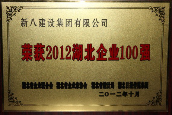 2012-湖北企業(yè)100強(qiáng)